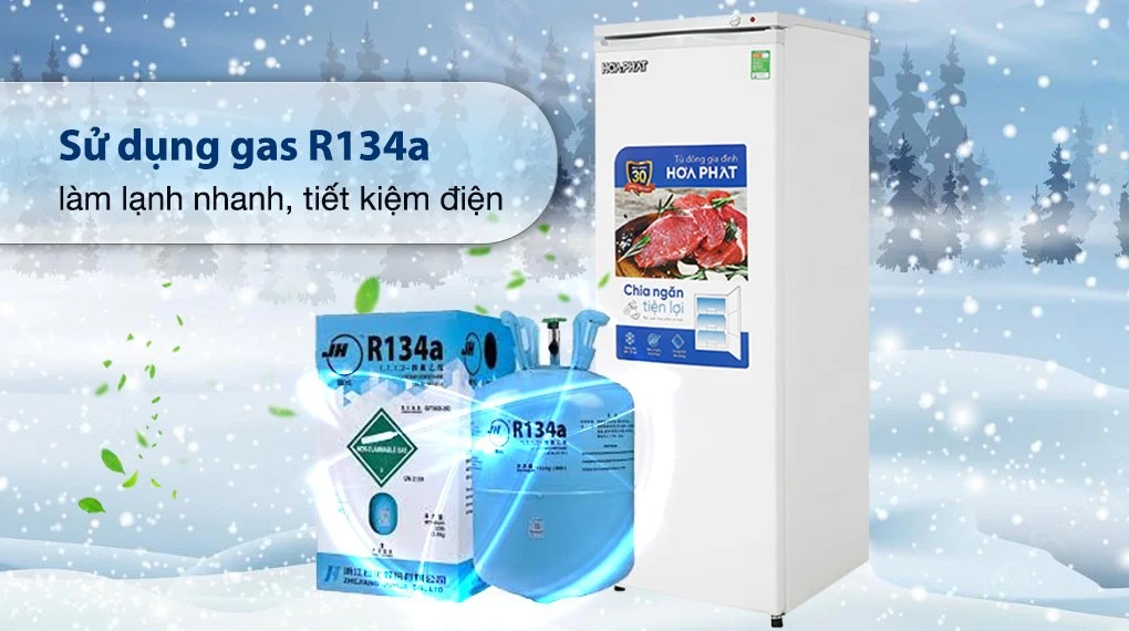 Tủ bảo quản Hòa Phát dạng đứng 208 lít HPF-UAH6208